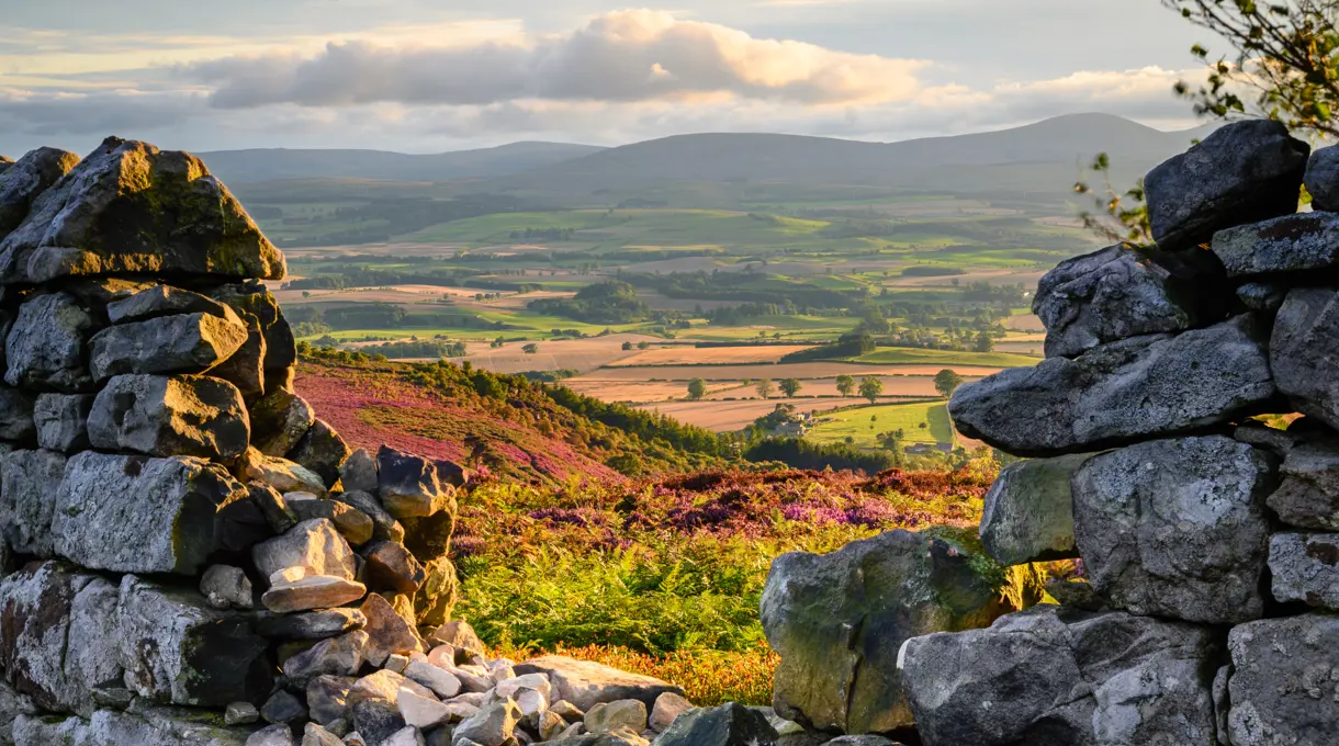 Adobestock 288899724