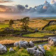 Adobestock 331018920